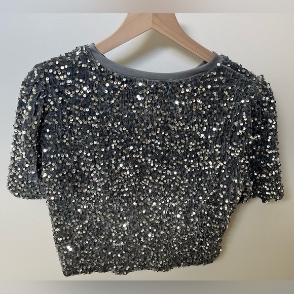 Sequin Embellished Velvet Silver/Gray short sleeve Boxy Gray Top size Medium - Picture 4 of 5